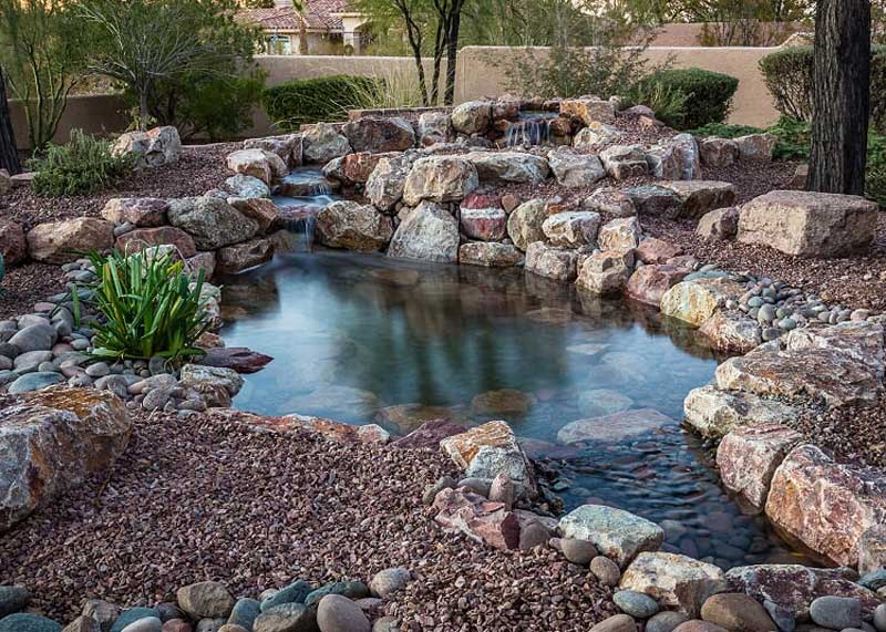 Koi Pond Company Near Me