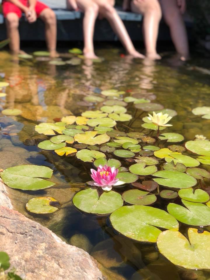 kids pond