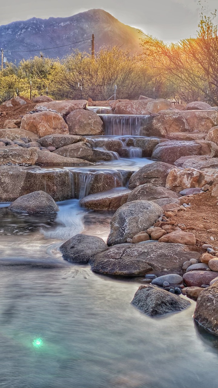 Tucson Pond