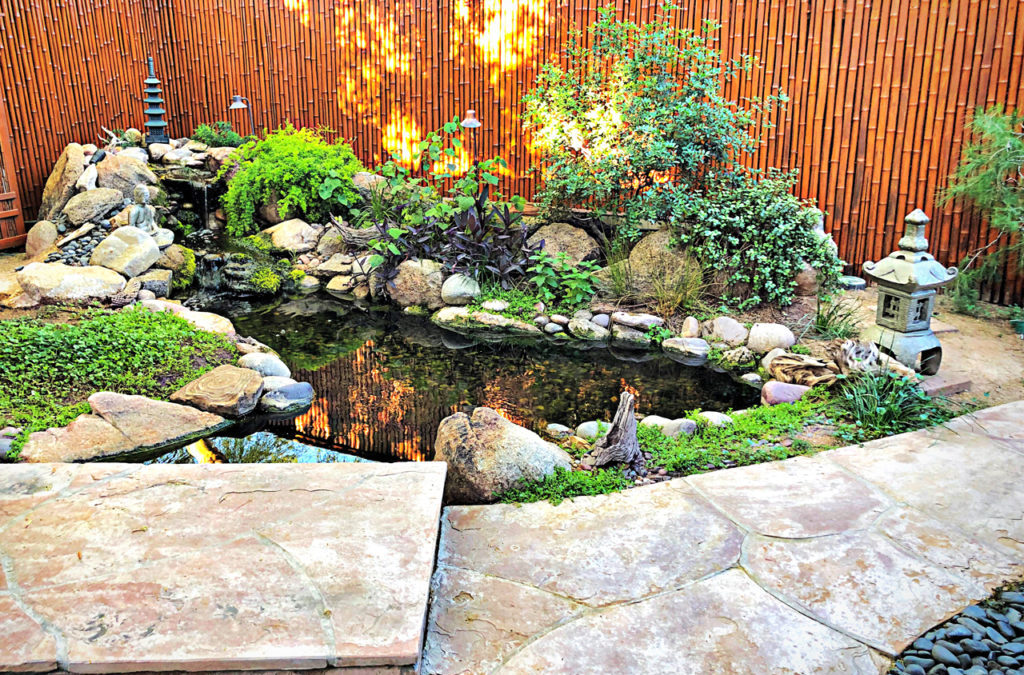 Scottsdale Fish Pond Cleaning Service
