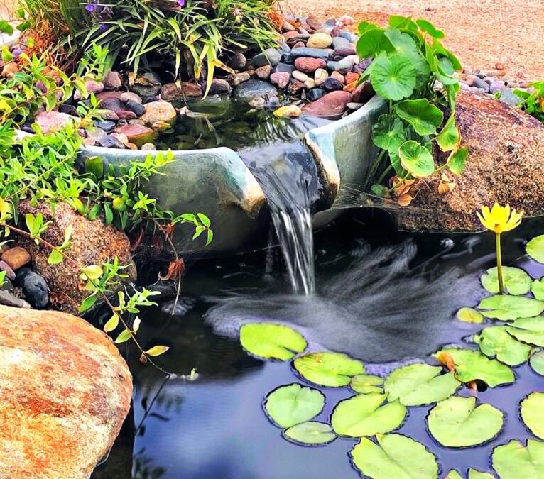 The Benefits of Water Features