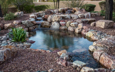 4 Benefits of Water Features