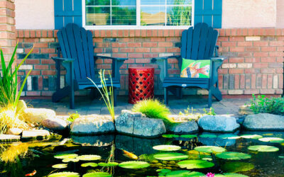 Pond Trends to Think About in 2023